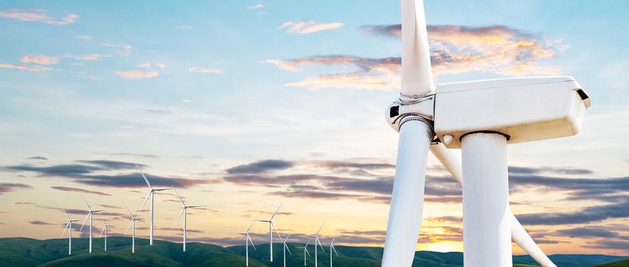 山东济南：樱桃园里的“科技交响曲”